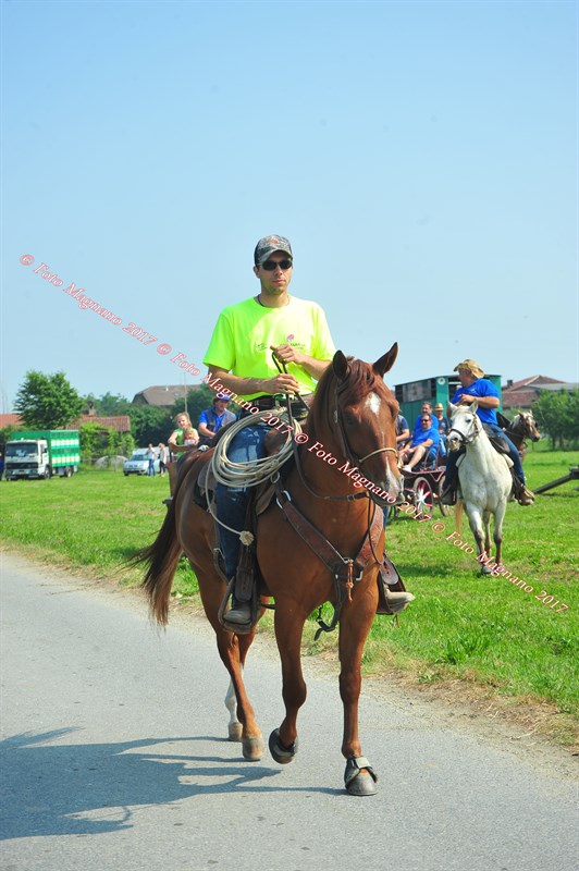 DSC_0773.JPG